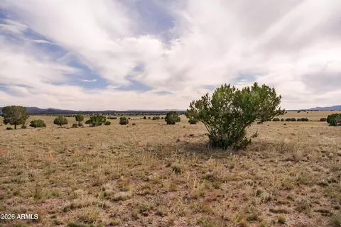 A1 Kirby Ln -- #A1, Ash Fork, AZ 86320 photo 14