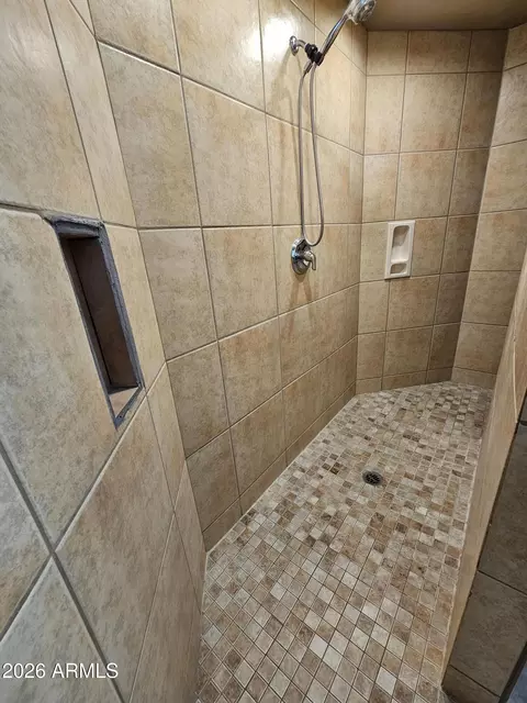 Bath - 9138 E Dennis St, Mesa, AZ 85207 photo 8 of 9