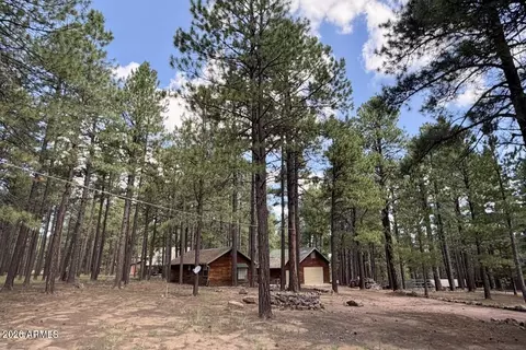 Other - 2507 Middle Loop, Forest Lakes, AZ 85931 photo 12 of 12