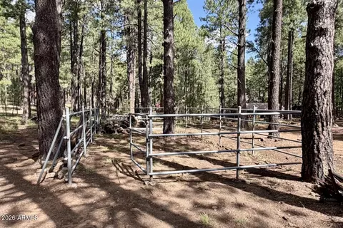 Other - 2507 Middle Loop, Forest Lakes, AZ 85931 photo 10 of 12