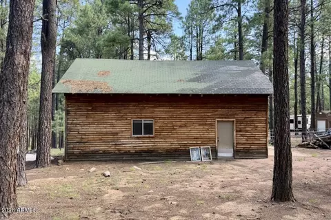 Other - 2507 Middle Loop, Forest Lakes, AZ 85931 photo 4 of 12