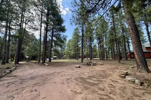 Other - 2507 Middle Loop, Forest Lakes, AZ 85931 photo 11 of 12