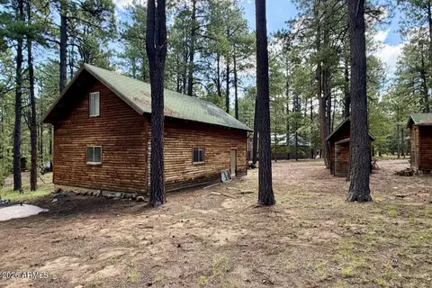 Exterior - 2507 Middle Loop, Forest Lakes, AZ 85931 photo 3 of 4