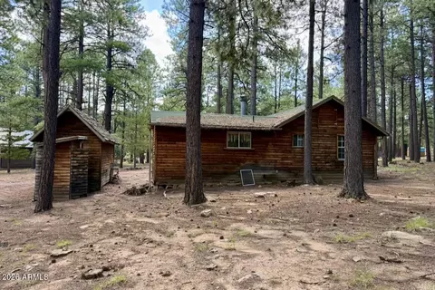 Exterior - 2507 Middle Loop, Forest Lakes, AZ 85931 photo 4 of 4