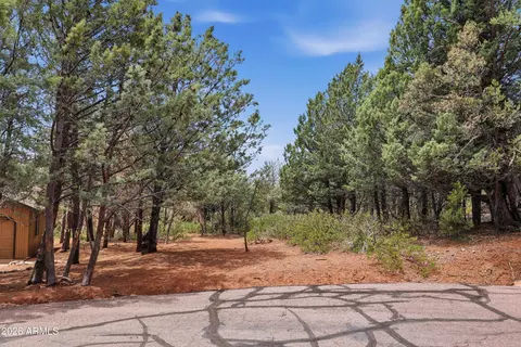 20 W Hidden Pines Loop #20, Pine, AZ 85544 photo 5