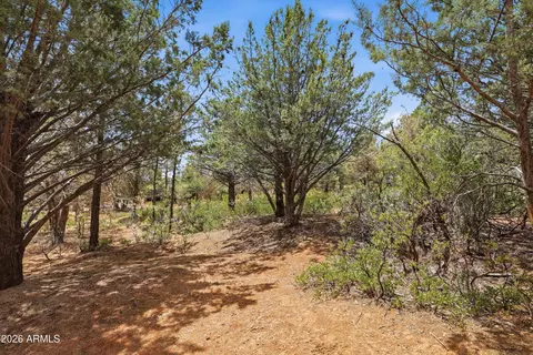 20 W Hidden Pines Loop #20, Pine, AZ 85544 photo 11