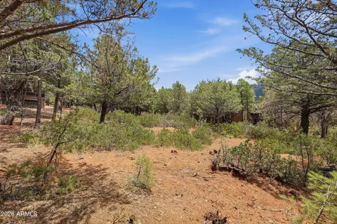 20 W Hidden Pines Loop #20, Pine, AZ 85544 photo 9