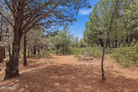 20 W Hidden Pines Loop #20, Pine, AZ 85544 photo 7