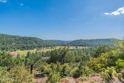 Other - 8397 W Turkey Run Dr, Pine, AZ 85544 photo 28 of 29
