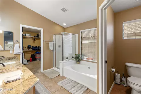Bath - 340 E Rawhide Ave, Gilbert, AZ 85296 photo 4 of 5