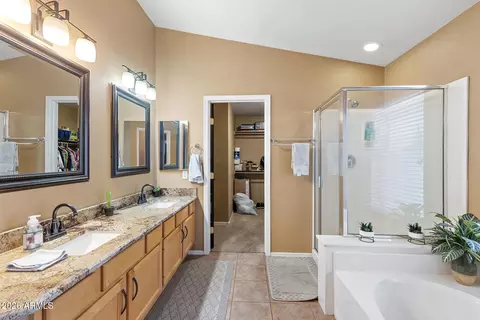 Bath - 340 E Rawhide Ave, Gilbert, AZ 85296 photo 3 of 5