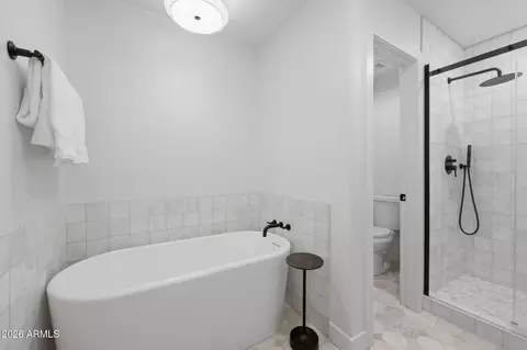 Bath - 1249 E Commerce Ave, Gilbert, AZ 85234 photo 3 of 3