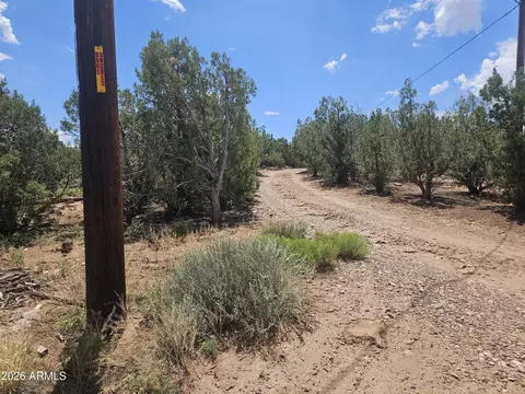 3981 Apache Rd #-, Snowflake, AZ 85937 photo 3