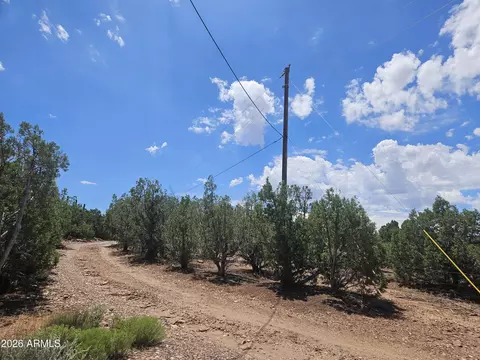 3981 Apache Rd #-, Snowflake, AZ 85937 photo 4