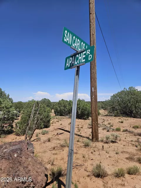 3981 Apache Rd #-, Snowflake, AZ 85937 photo 10