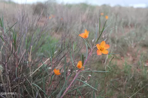 tbd S Arzberger Rd #-, Willcox, AZ 85643 photo 11