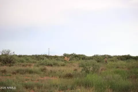 tbd S Arzberger Rd #-, Willcox, AZ 85643 photo 10