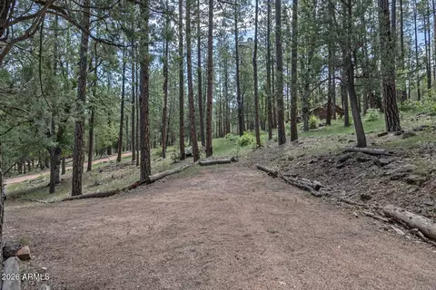 Exterior - 559 W Diamond Loop, Payson, AZ 85541 photo 11 of 12