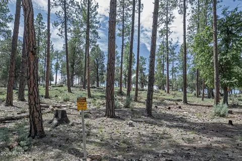 Other - 559 W Diamond Loop, Payson, AZ 85541 photo 7 of 8
