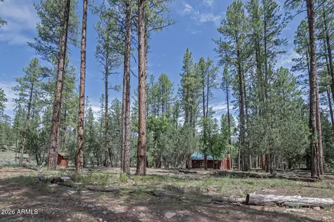 Exterior - 559 W Diamond Loop, Payson, AZ 85541 photo 10 of 12