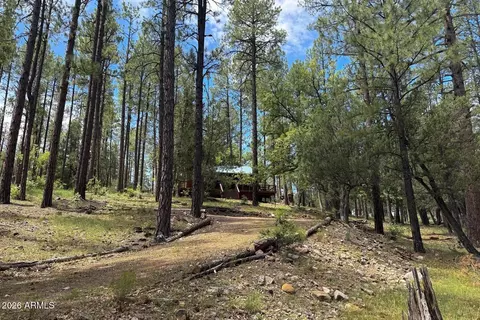 Other - 559 W Diamond Loop, Payson, AZ 85541 photo 8 of 8