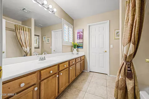 Bath - 3907 E Indigo Bay Dr, Gilbert, AZ 85234 photo 4 of 4
