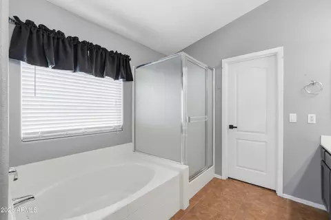 Bath - 3798 S Seton Ave, Gilbert, AZ 85297 photo 1 of 3