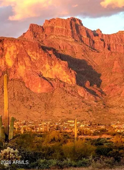 Other - 1534 N Acacia Rd, Apache Junction, AZ 85119 photo 30 of 30