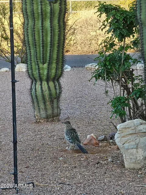 Other - 1534 N Acacia Rd, Apache Junction, AZ 85119 photo 27 of 30