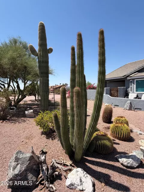 Exterior - 1534 N Acacia Rd, Apache Junction, AZ 85119 photo 12 of 12