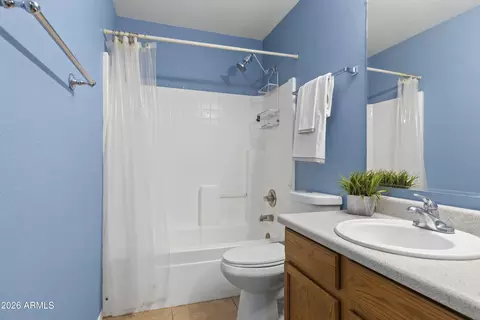 Bath - 11437 E Flower Ave, Mesa, AZ 85208 photo 3 of 3
