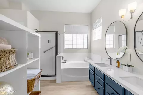 Bath - 9641 E Gary St, Mesa, AZ 85207 photo 3 of 5
