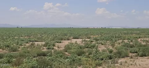20 S Acres S Robison Rd #5, Willcox, AZ 85643 photo 4
