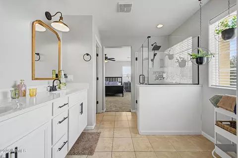 Bath - 10323 E Hawk Ave, Mesa, AZ 85212 photo 3 of 5