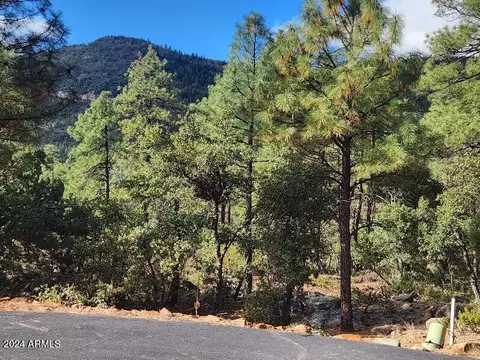 000 N Sundown Lane Ln #104, Pine, AZ 85544 photo 5