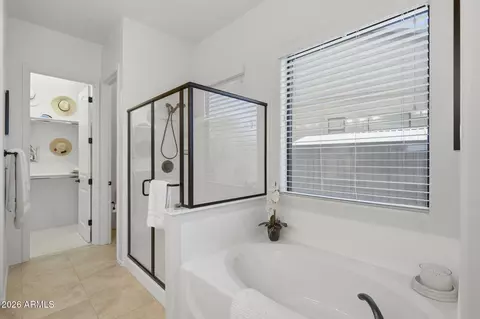 Bath - 9143 E Kramer St, Mesa, AZ 85207 photo 4 of 4