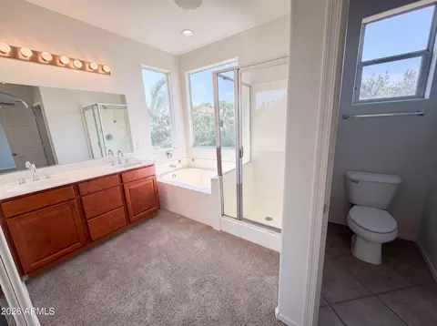 Bath - 1214 E Frances Ln, Gilbert, AZ 85295 photo 2 of 5