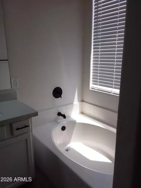 Bath - 3932 E Morelos St, Gilbert, AZ 85295 photo 7 of 10