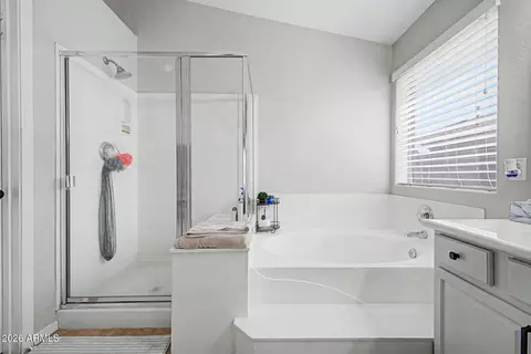 Bath - 9835 E Lindner Ave, Mesa, AZ 85209 photo 2 of 3
