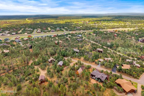 View/Area - 2290 Thunderbird Way, Overgaard, AZ 85933 photo 5 of 6