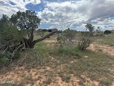 1771 W Ridgeview Ranch Dr, Snowflake, AZ 85937
