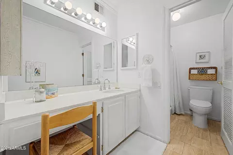 Bath - 1518 E Northshore Dr, Tempe, AZ 85283 photo 1 of 4