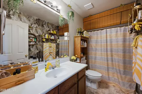 Bath - 4172 E Orchid Ln, Gilbert, AZ 85296 photo 3 of 3