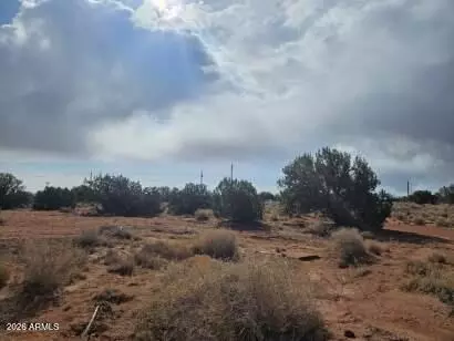 15 N 9079 --, Concho, AZ 85924 photo 3