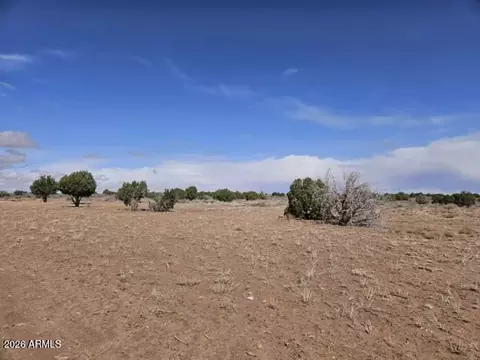 15 N 9079 --, Concho, AZ 85924 photo 7
