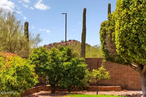 Exterior - 9513 E Knoll Cir, Mesa, AZ 85207 photo 9 of 13