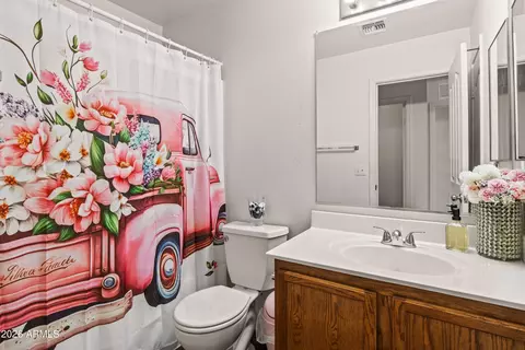Bath - 1256 E Clifton Ave, Gilbert, AZ 85295 photo 3 of 3