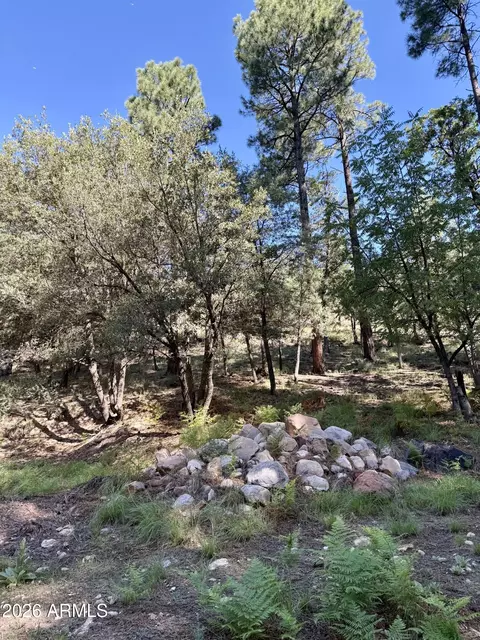165 W Burnt Point Trl #1, Payson, AZ 85541