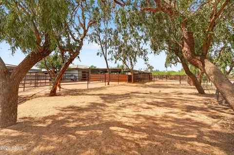 Exterior - 141 E Cloud Rd, Phoenix, AZ 85086 photo 3 of 31
