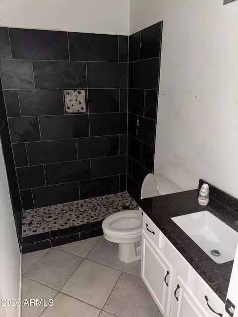 Bath - 2575 E Brooks St, Gilbert, AZ 85296 photo 3 of 3